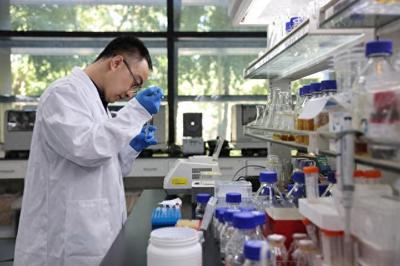 在中国科学院天津工业生物技术研究所实验室,杨建刚副研究员在做人工合成己糖实验(8月13日摄)。新华社记者 金立旺 摄